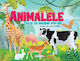Carte Cu Imagini Pop-up - Animalele