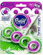Brait Block 40gr Rings Forest