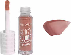 Elixir Lip Gloss 4.5gr