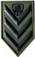 Survivors 3D Police Badges Epaulet Velcro-Sergeant Investigator 06-Khaki-Olive Green