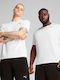 Cat T-shirt White