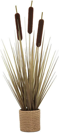 Τεχνητό Φυτό Γρασίδι Cattail Μπεζ Πλαστική Καφέ Γλάστρα 55εκ