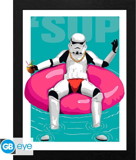 Original Stormtrooper Gerahmter Druck Pool Boy 30x40 X2 Fan-Shop Merchandise