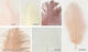 Ostrich Feather 30cm 35cm 0517981 Includes 10 Pieces Dusty Pink