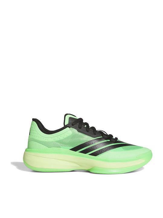 adidas Adizero Select 3.0 Basketball Shoes Green