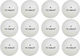 Fz Forza Amaze Tt Ball 1-star 12-pack Fz240126-1002