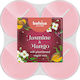 Bolsius Teelichter Vegan Wachs mit Duft Jasmin & Mango in Rosa Farbe 8 Stunden Dauer 8 Stück