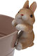 Easter Decorative Brown Bunny Watering Can 8.5x5.8x4.5cm