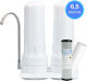 Filtru De Apă Deasupra Blatului Filtrato Ct-14d 10 Cu Filtru De Înlocuire Din Polipropilenă Filtrato Fcpp5 5μm Și Cărbune Activ Pure Lrc 2510-p5 0,5μm