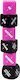 Adult Games Sexy 6 Dice Game