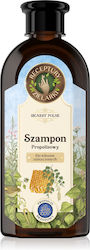 Receptury Zielarki Shampoos 350ml Receptury Zielarki Shampoos 350ml