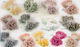 Stamens 6cm 350pcs 0516062