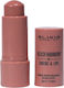 Harmony Stick Rouge & Blush Schatten 501 8g
