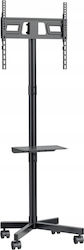 Maclean Energy MC-949 Βάση Τηλεόρασης Δαπέδου έως 55"