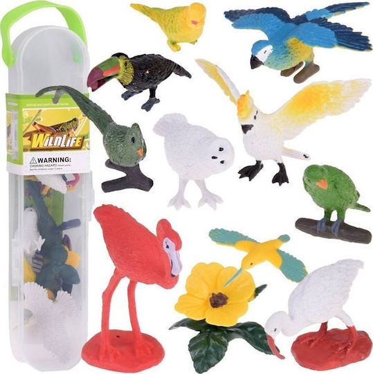 Jokomisiada Exotic Animals για 3+ Ετών