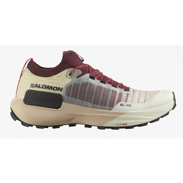 20251014111000_salomon_s_lab_g