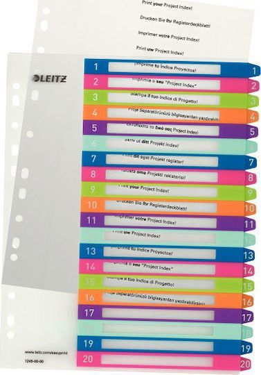 Leitz Plastic Divider for for Cards A4