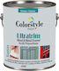 Colorstyle Paint Grundierung Geeignet für Holz / Metall / Gipskarton 0.75Es