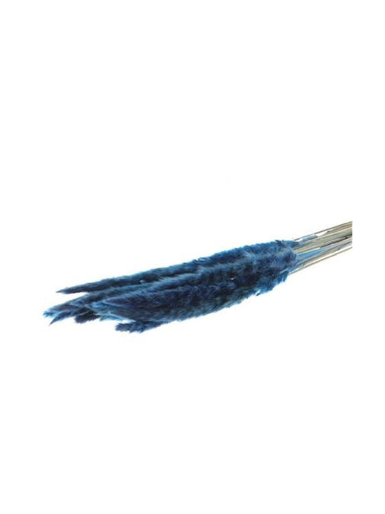 Pampaszweige 70g Blau