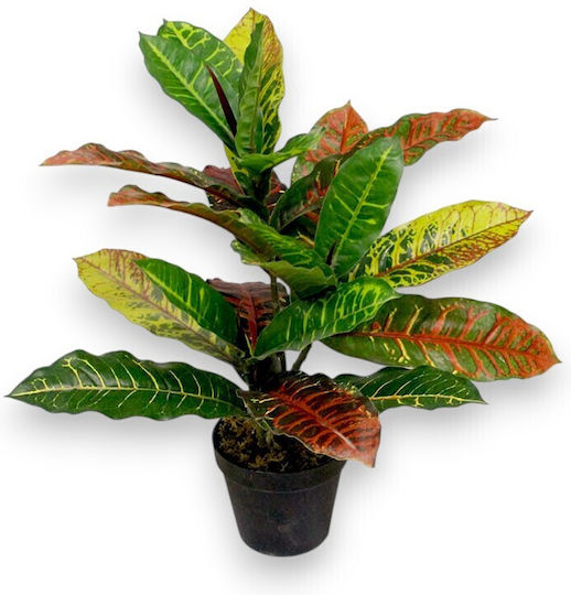 Artificial Croton Plant 45cm Plastic Pot