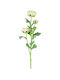 Countryfield Decorative Artificial Ranunculus Branch Cream 65cm