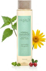 Calinachi Shampoos gegen Haarausfall 300ml