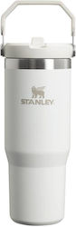 Stanley Iceflow Flip Straw Tumbler Thermos Stai...