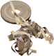 Masai Viscose Yarn 50g Brown-Beige