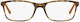Ralph Lauren 6134 5427 53 Prescription Eyeglass Frames