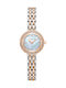 Cerruti Crystals Ceas de Damă cu Rose Gold Brățară Metalică