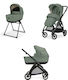 Inglesina Electa Duo 2025 Adjustable 2 in 1 Bab...