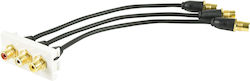 Av Link Wall Plate Module 3rca Audio-video 122.555uk Av Link Wall Plate Module 3rca Audio-video 122.555uk