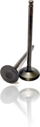 Valves Sym Symphony Sr150