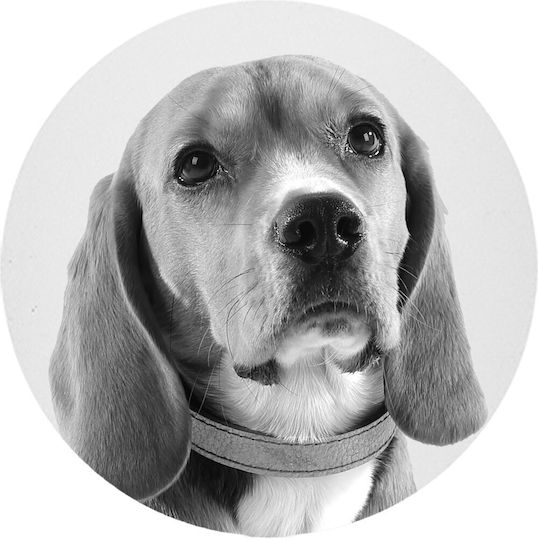 Σουβέρ Προσωπ Να Διάφορα Υλικά Dog Lover Μάρμαρο