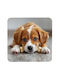 Coaster Personalized Various Materials Dog Lover Leather