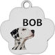 Ταυτότητες Κατοικίδιων Προσωπ Νες Bob