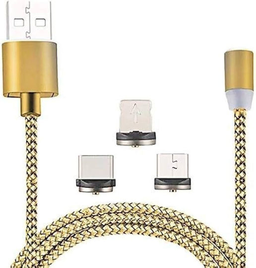 USB-A to Lightning Cable Χρυσό 1m (x1385-2)