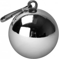 XR Ring Schwanz Gray