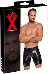 LateX Латекс