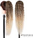 Ponytail Gkm Synthetic Human Hair Keratin Kanekalon No Frizz No Shine No Tangle Curly 71cm Nest System Code T2 27 613 Balayage