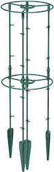 Prosperplast Βάση Στήριξης Φυτών Ø350x800mm Ifls5-g851