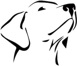 Αυτοκόλλητα Pet Αυτοκινήτου Βιτρίνας Lovely Dog Face Αυτοκόλλητα Pet Αυτοκινήτου Βιτρίνας Lovely Dog Face