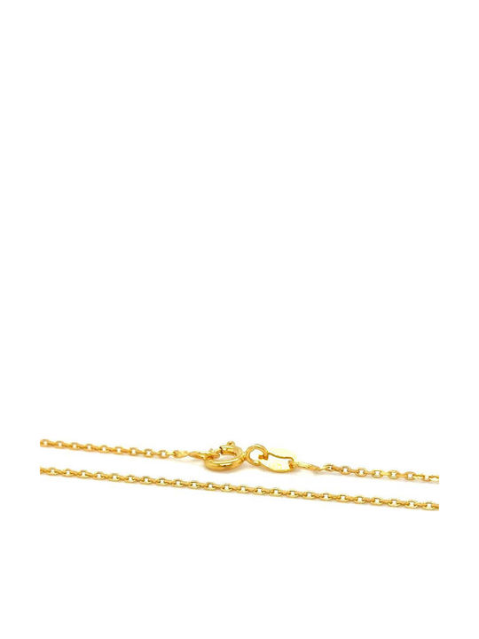Drandakis Silver Chain Neck Gold-plated Length 45cm