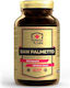 Immune-Labs Saw Palmetto 450mg 120 κάψουλες