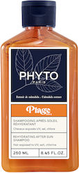 Phyto Shampoo Rekonstruktion/Nahrung 250ml