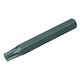 Langer Torx-Bit T40