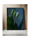 Gemälde Tulpen hinter Glas 100x150