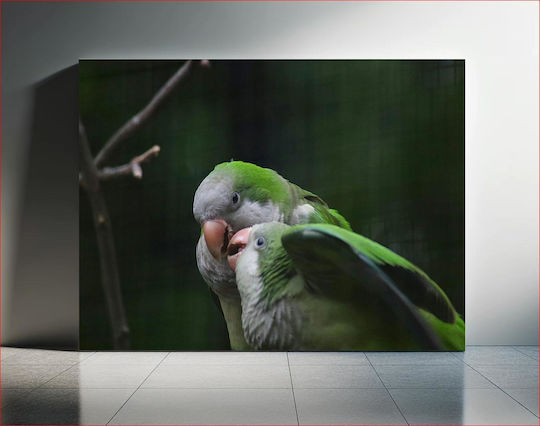 Πίνακας Pair Parrots In Nature Ζευγάρι Παπαγάλων Στη Φύση 90x60
