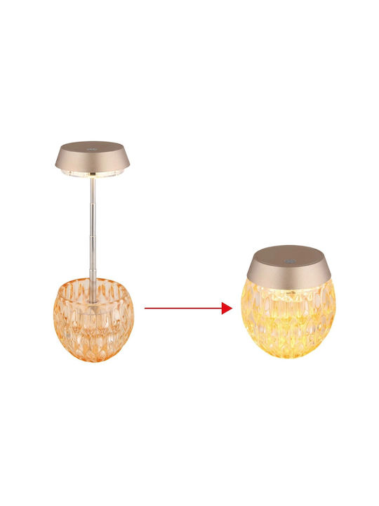 Globo Lighting Decorative Lamp Transparent
