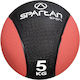 Spartan Μπάλα Medicine 24cm , 5kg σε Μαύρο Χρώμα